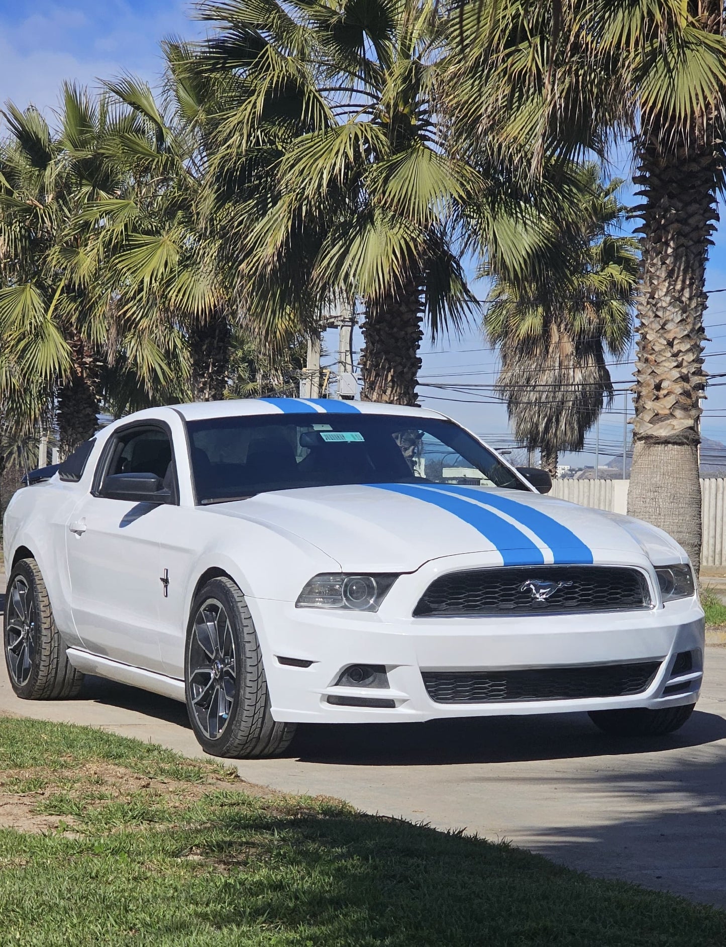 Ford MUSTANG COUPE V6 2014 🇺🇸