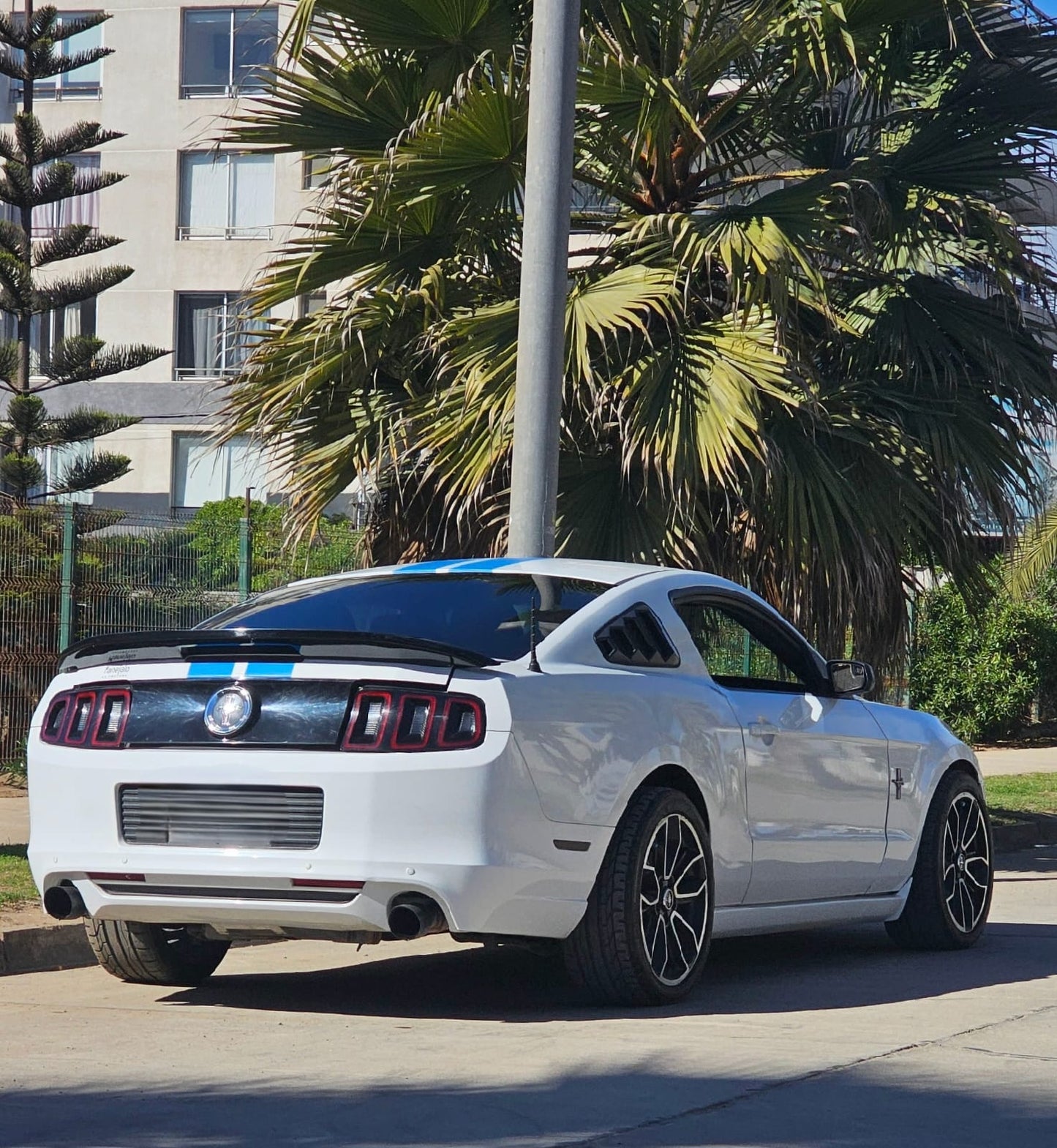 Ford MUSTANG COUPE V6 2014 🇺🇸