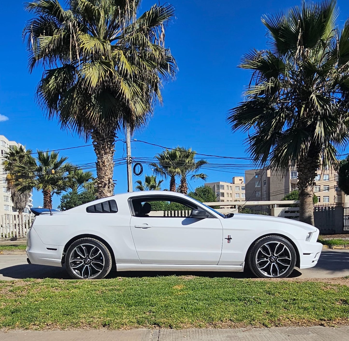 Ford MUSTANG COUPE V6 2014 🇺🇸