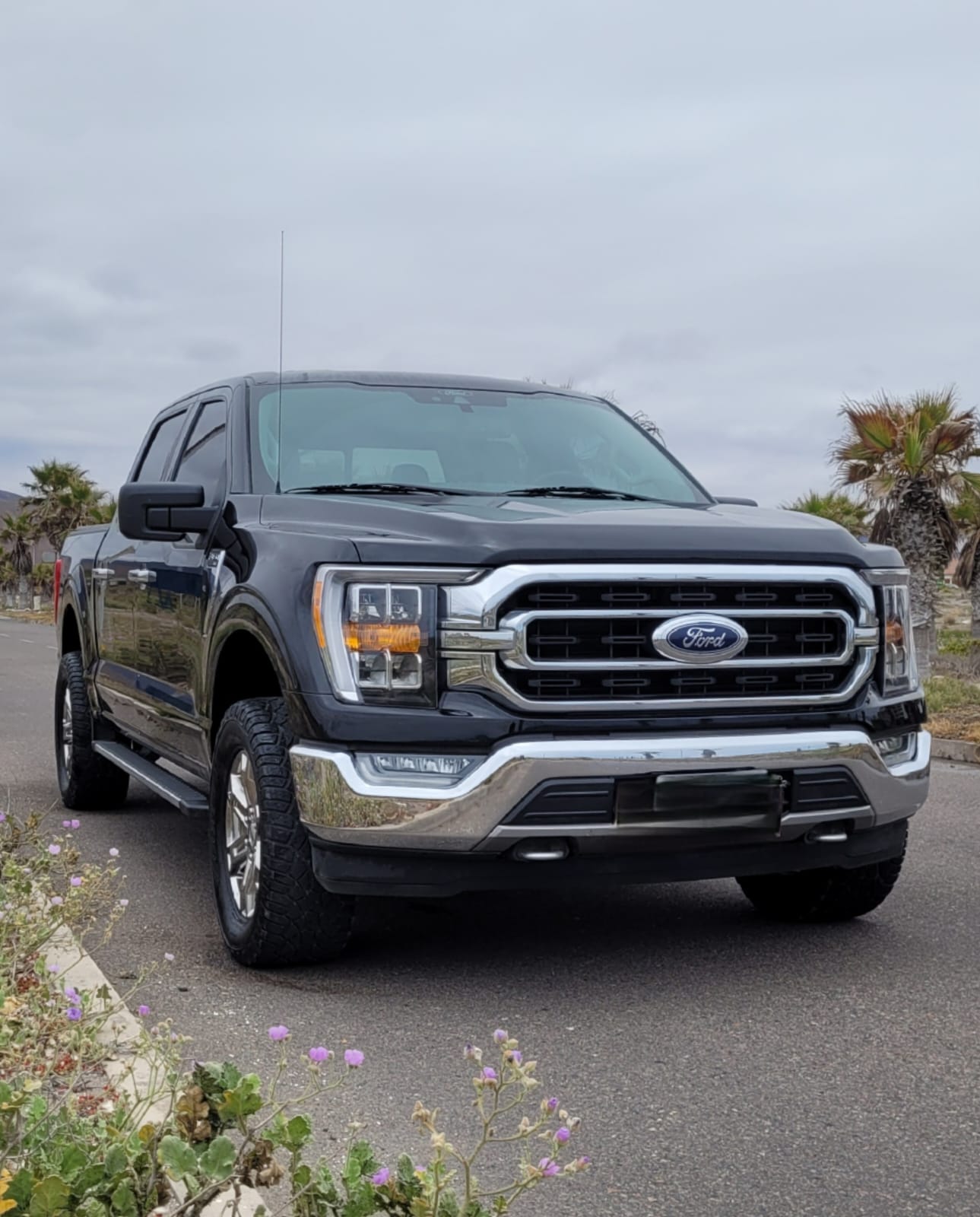 Ford F-150 XLT V8 4x4 2021 🇺🇸