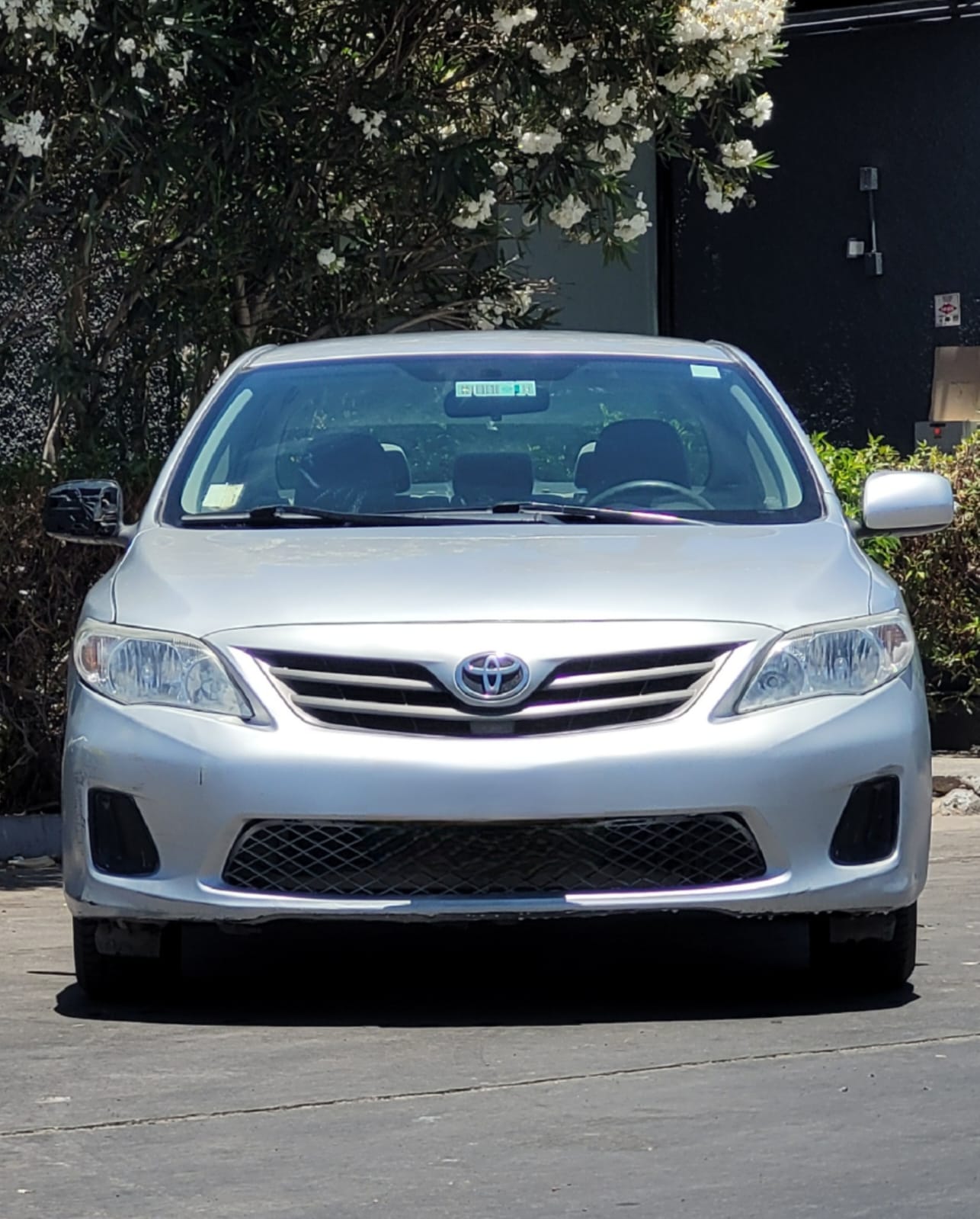 Toyota Corolla 2014🇯🇵